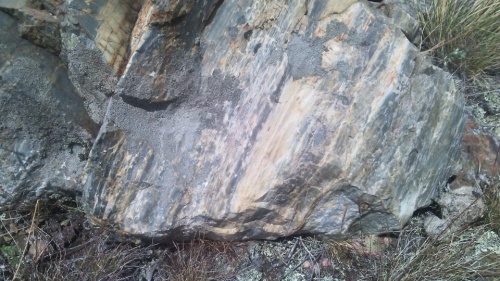 Гигантские зелёные валуны для ландшафтного дизайна весом более 5 тонн купить в Фрязино